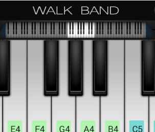 Walk Band – The Pocket Orchestra