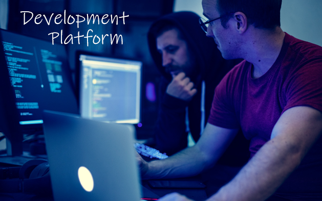 The top 10 programming languages that rules the app development sector